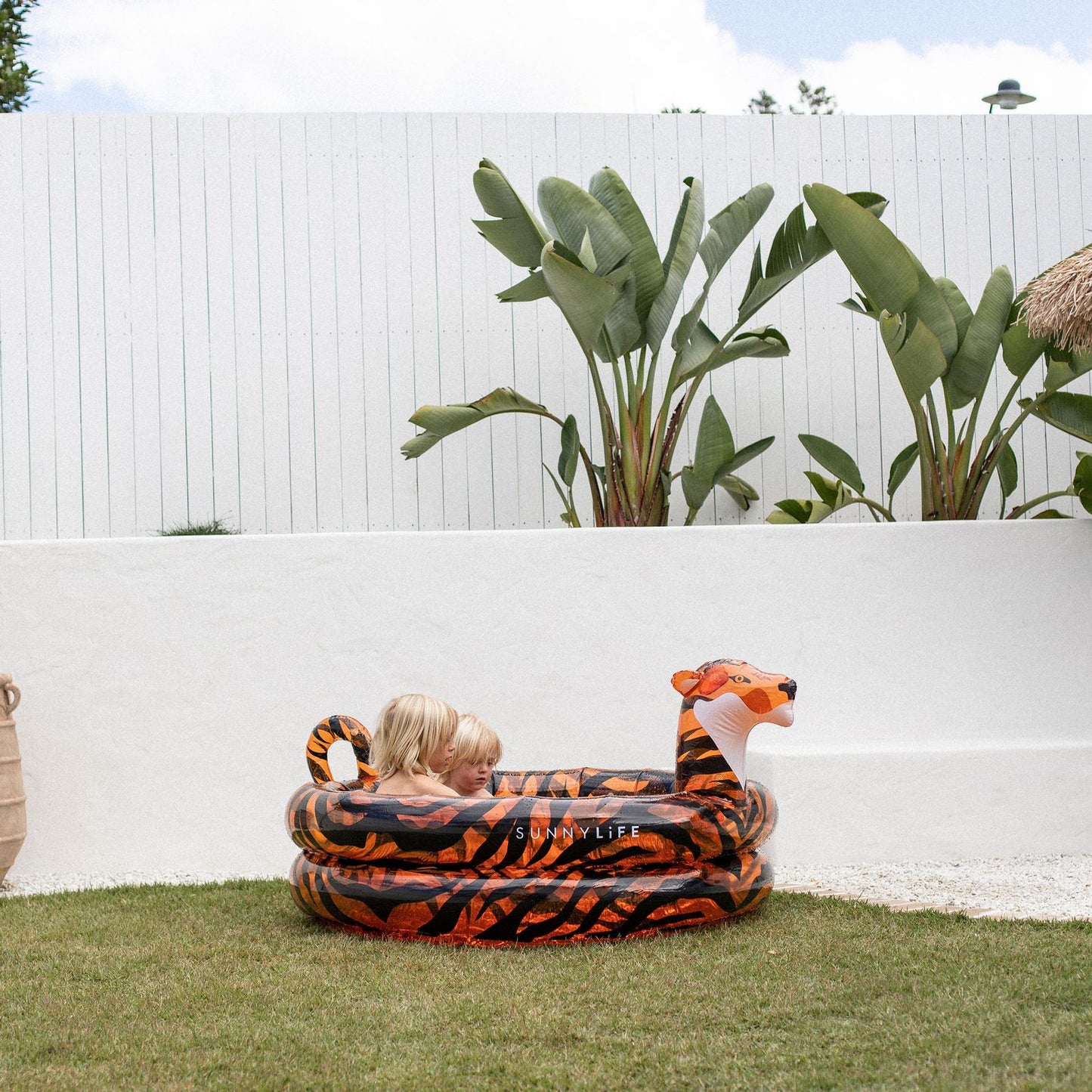 Backyard Pool Tully the Tiger