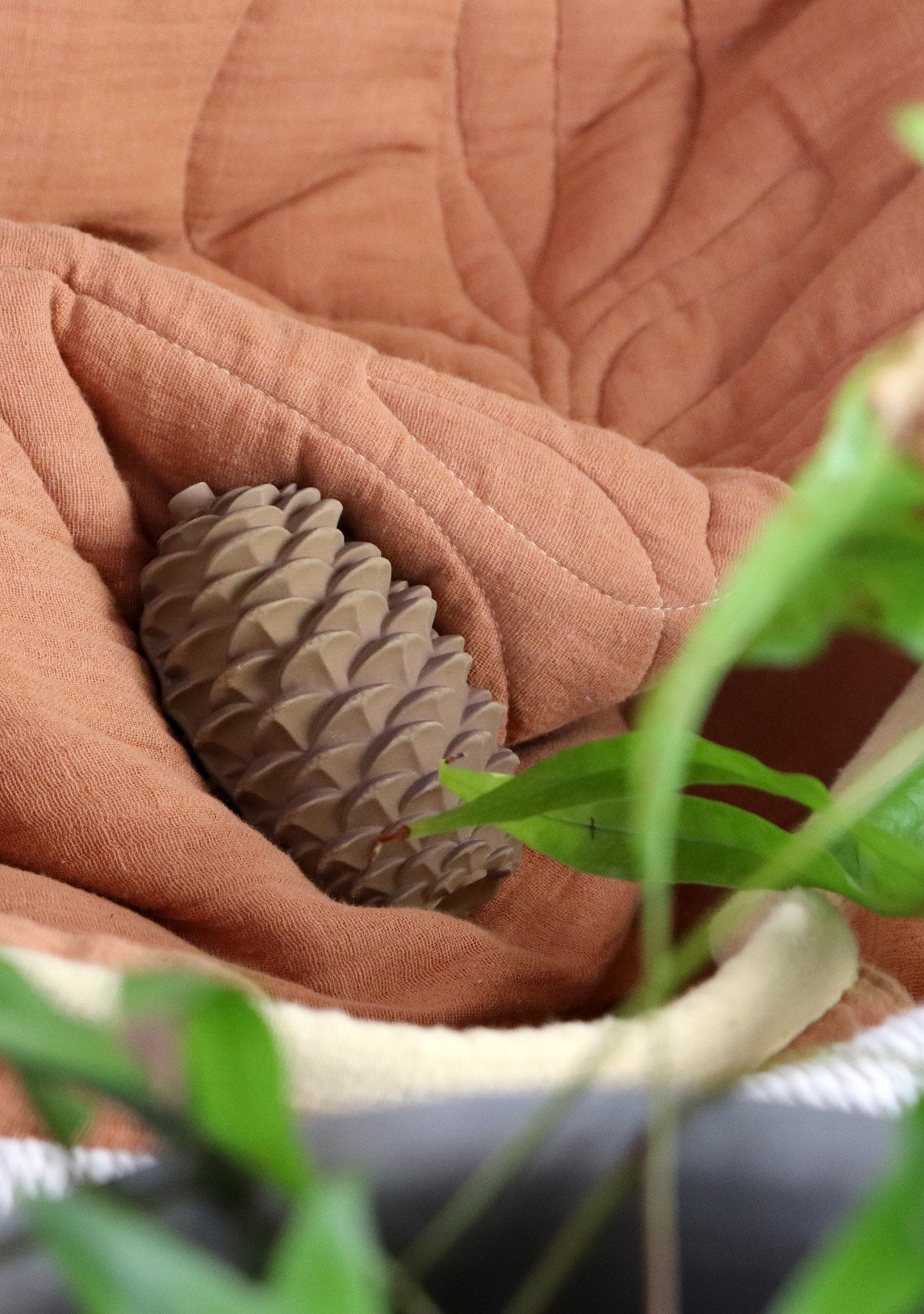 Sensory Toy - Natural Rubber - Pinecone